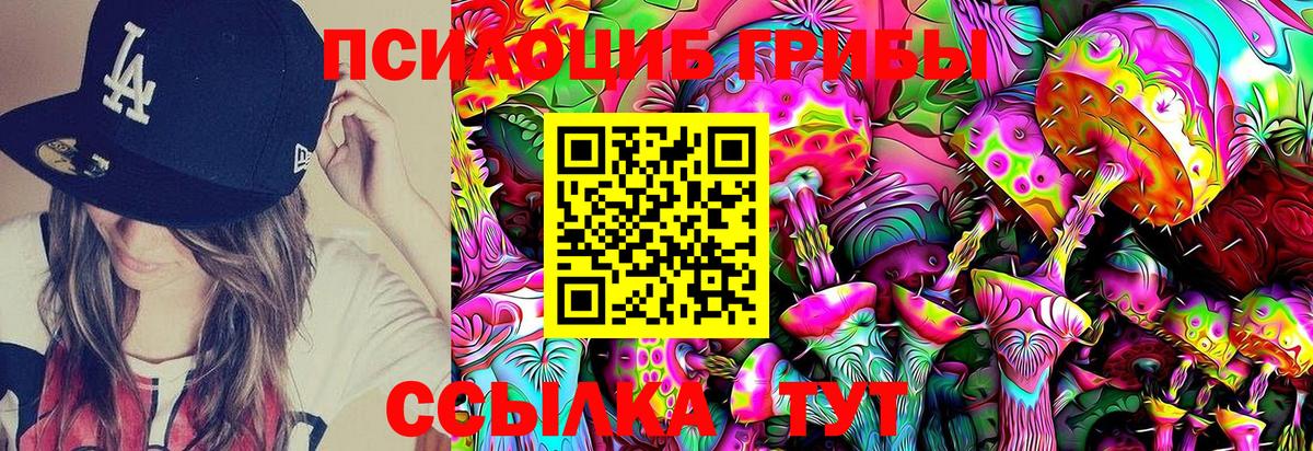 Семёнов  Галлюциногенные грибы Cubensis  Вход с VPN 